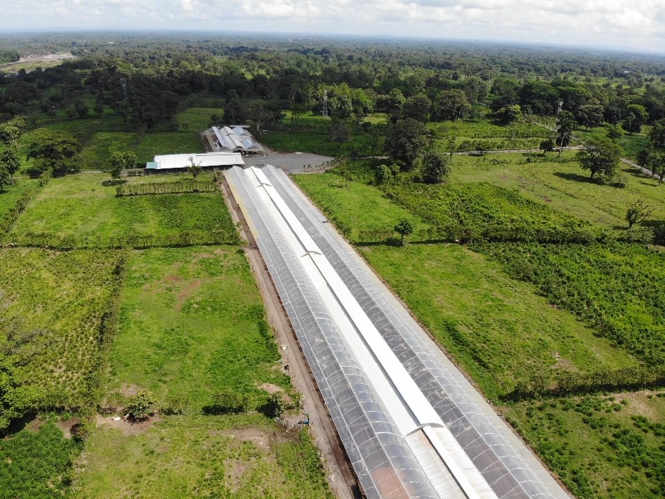 Soluciones agrícolas integrales de Agrotecservis en Costa Rica