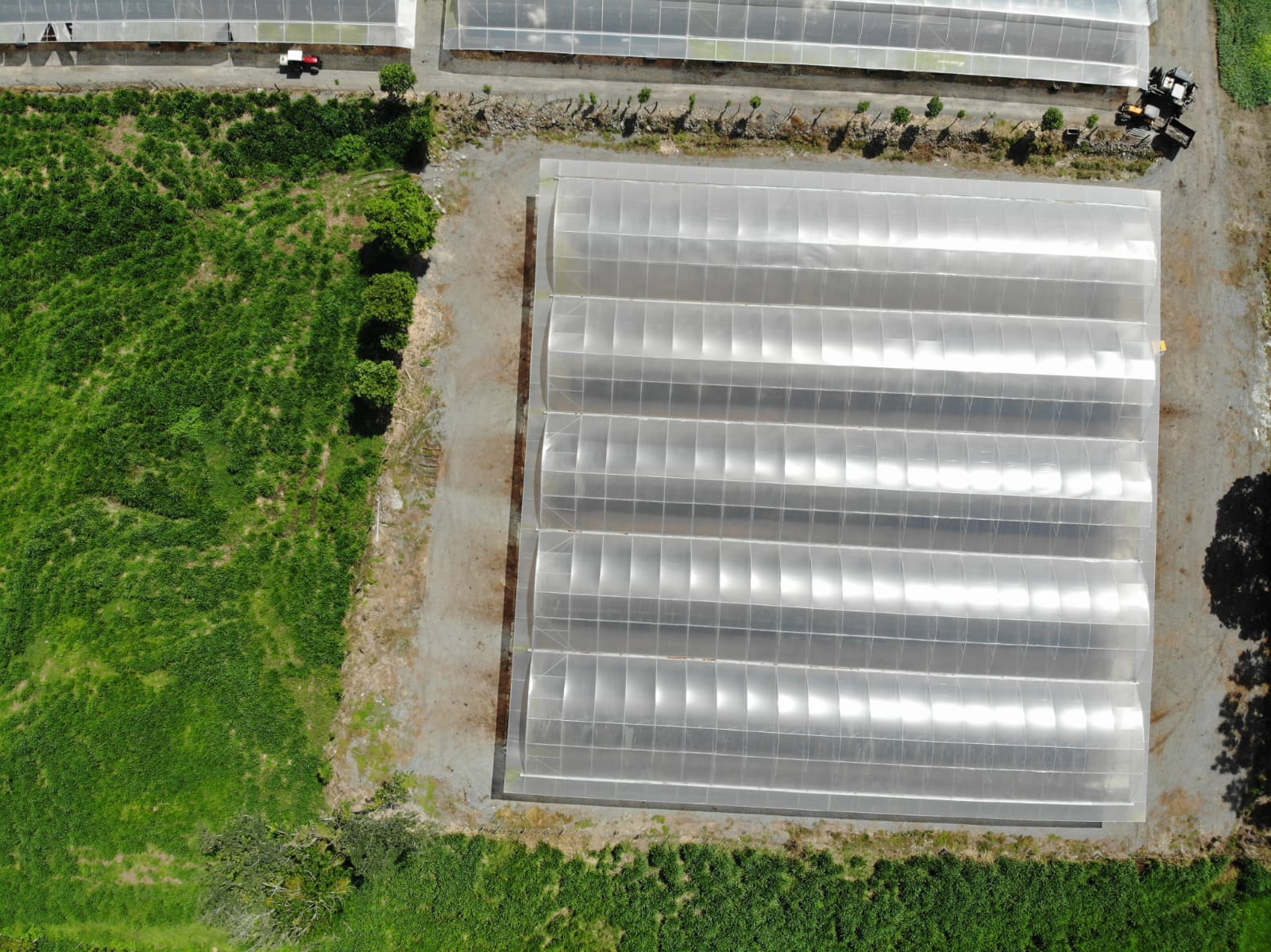 Invernadero agrícola construido por Agrotecservis